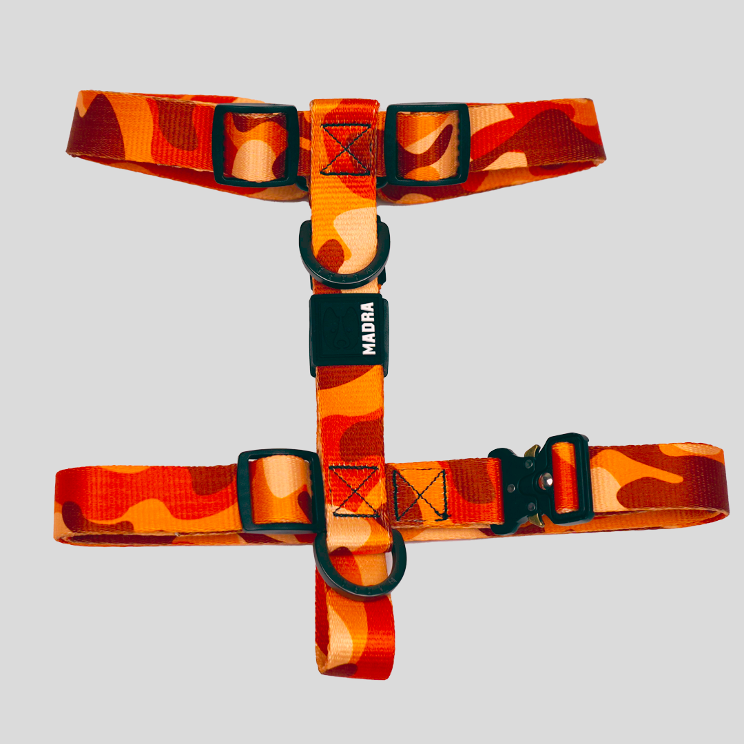 Camo City Harness