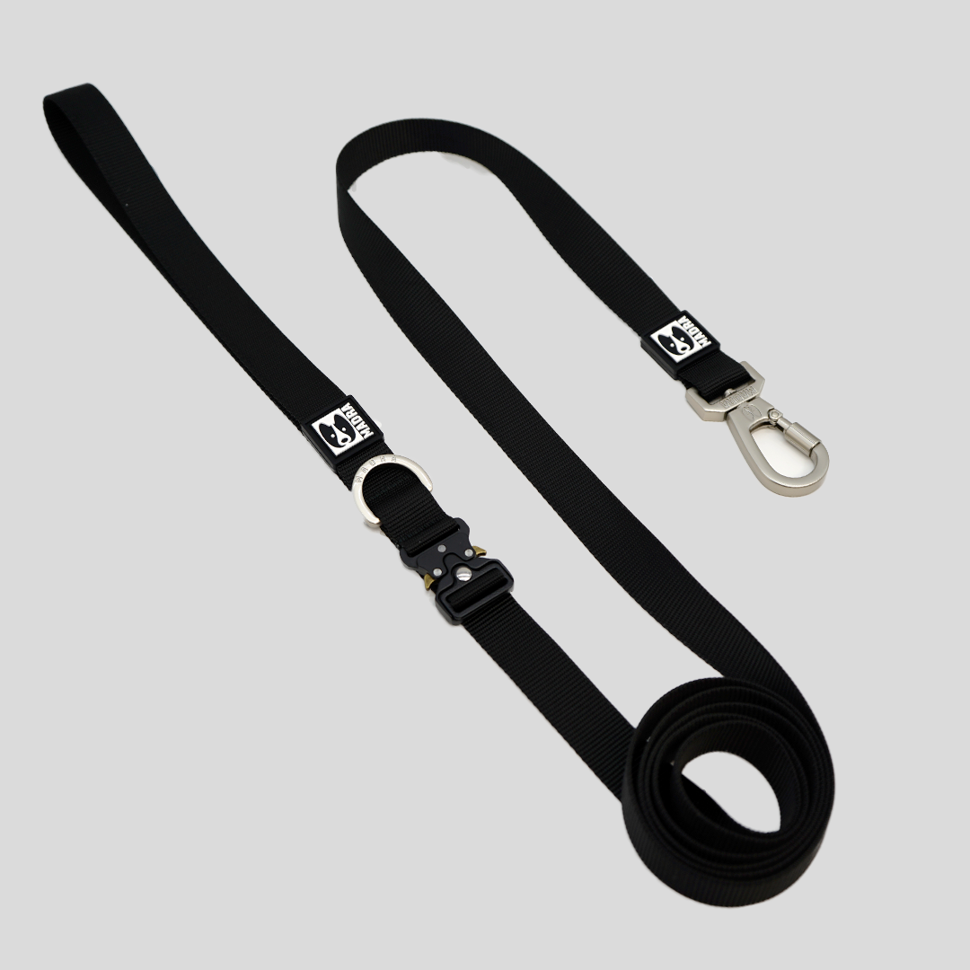 City Leash (Hands-free)