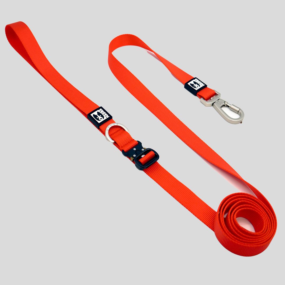 City Leash (Hands-free)