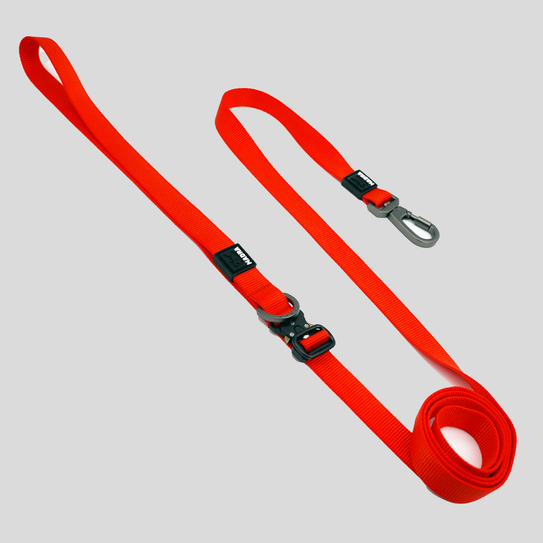 Tesla City Leash (Hands-Free)
