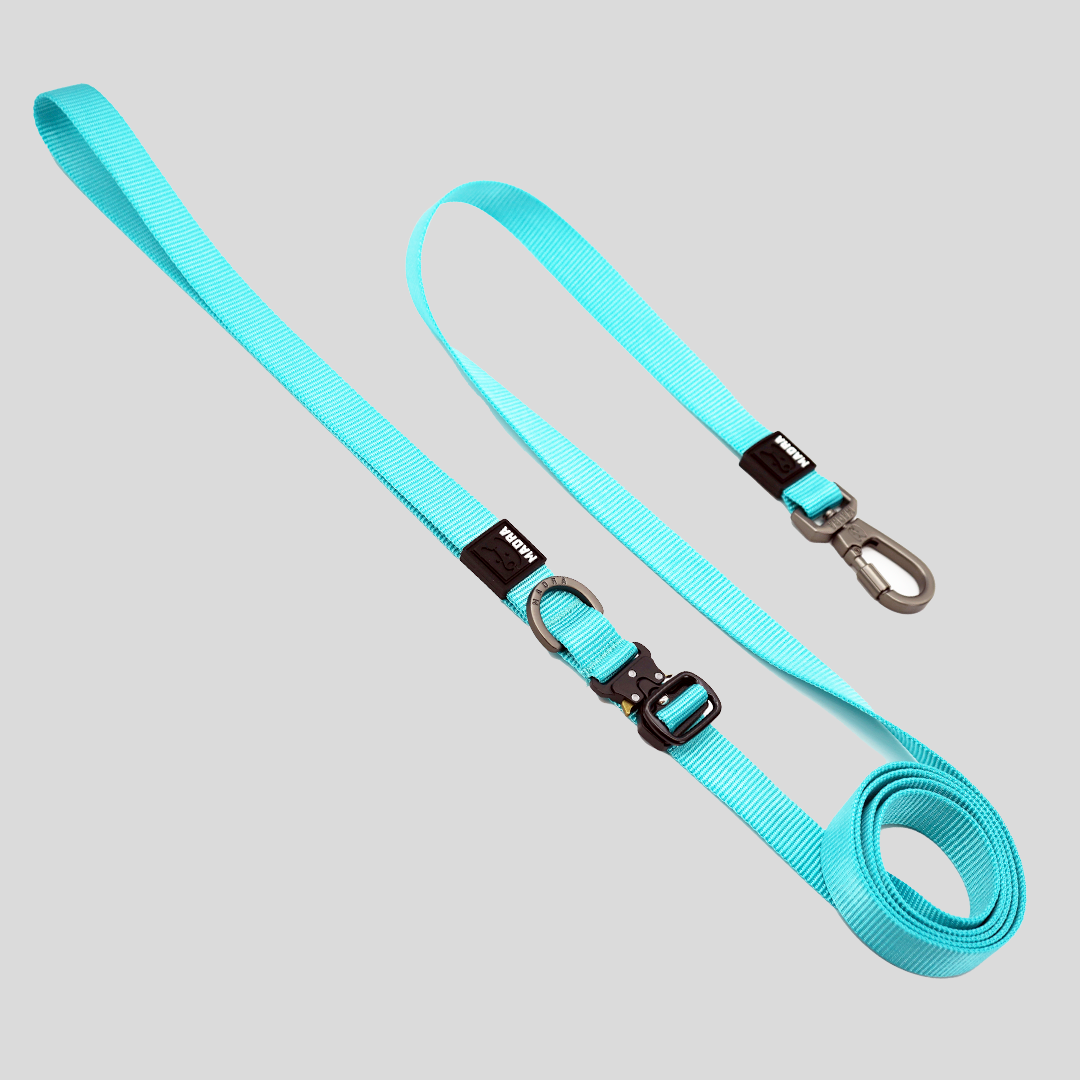 City Leash Traffic Grip