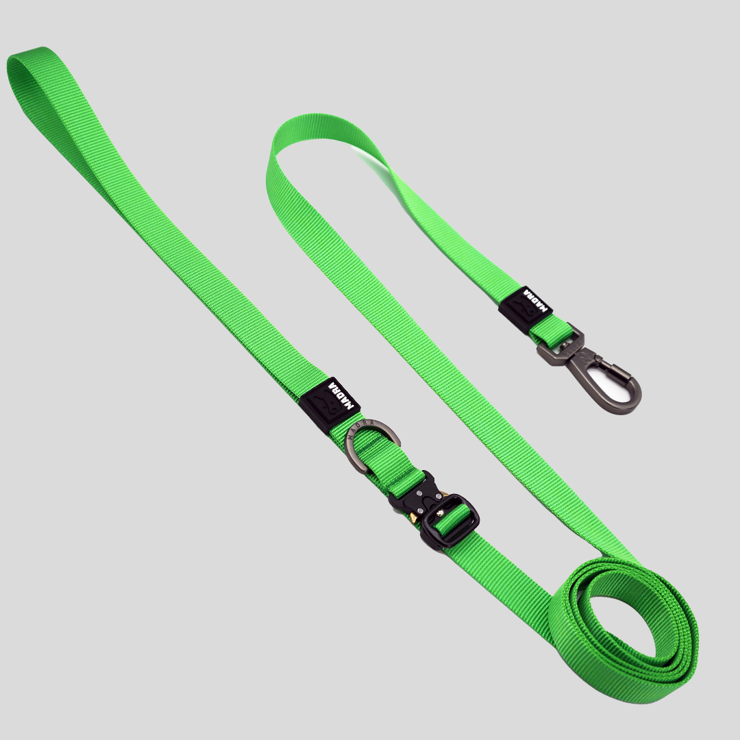 Tesla City Leash (Hands-Free)