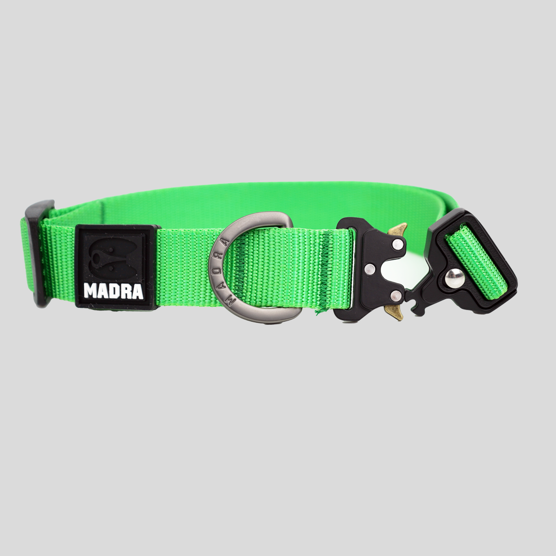 Tesla City Collar