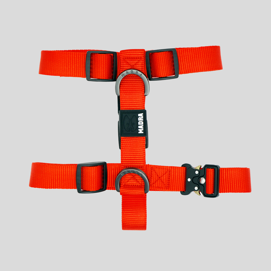 Tesla City Harness
