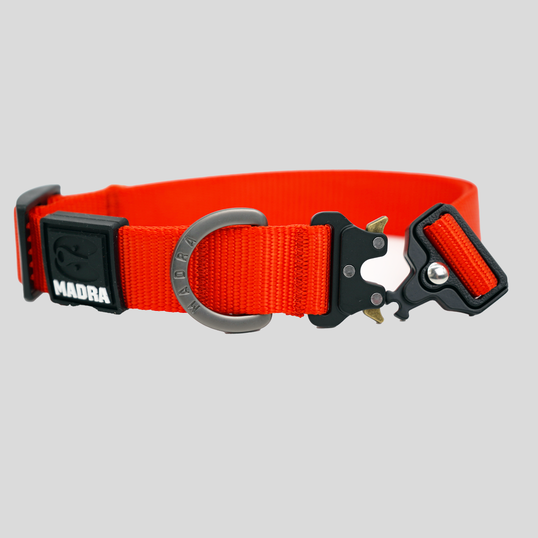 Tesla City Collar