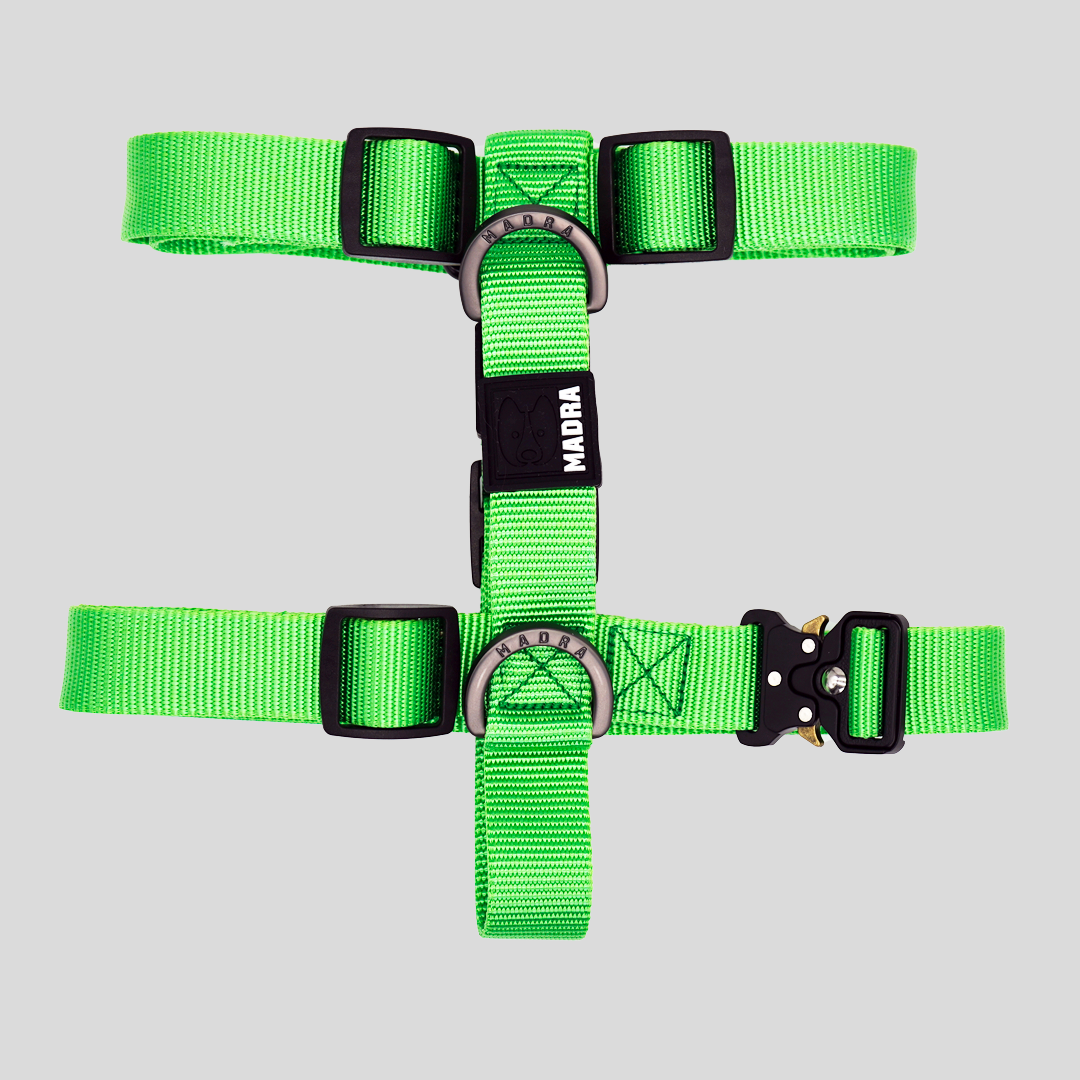 Tesla City Harness