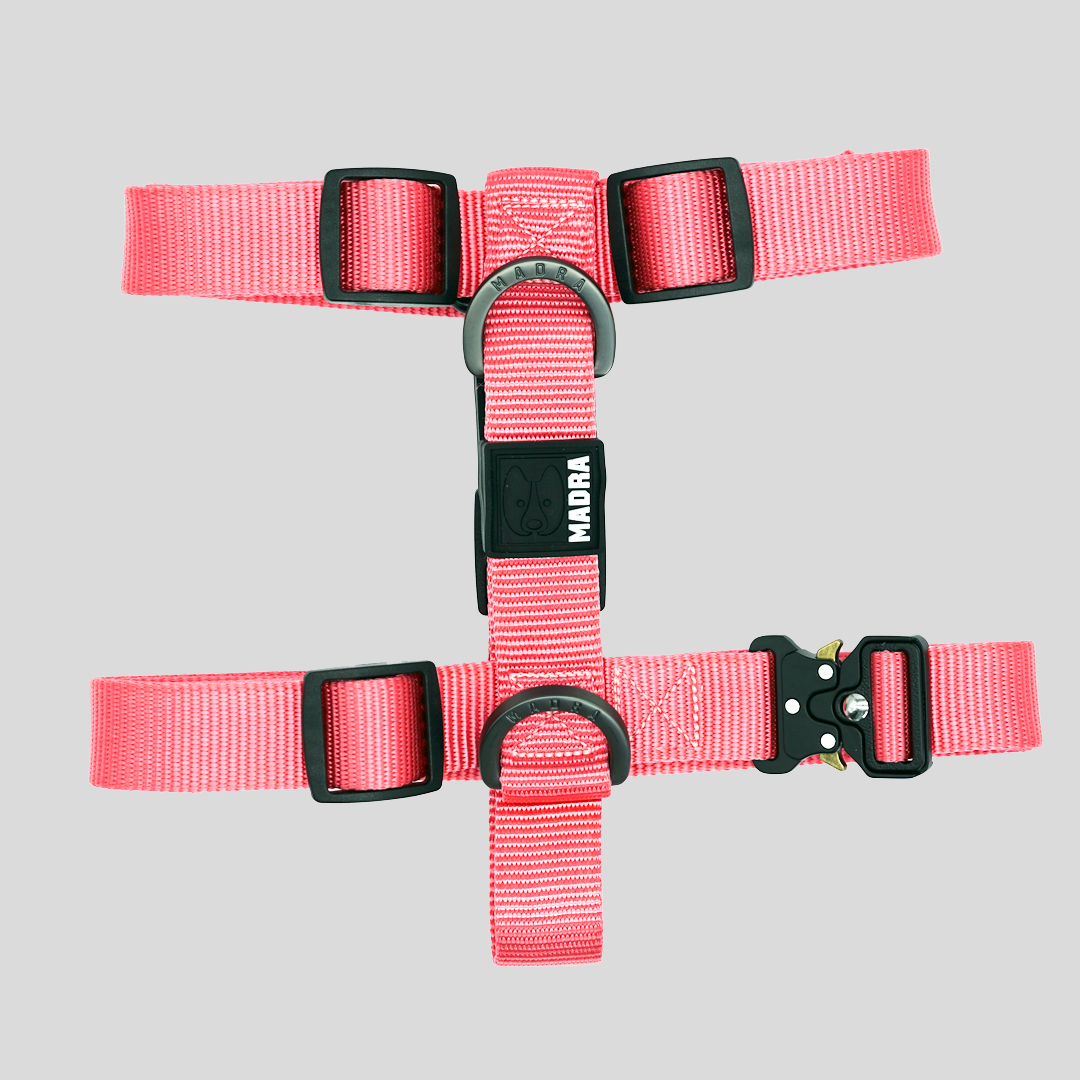 Tesla City Harness