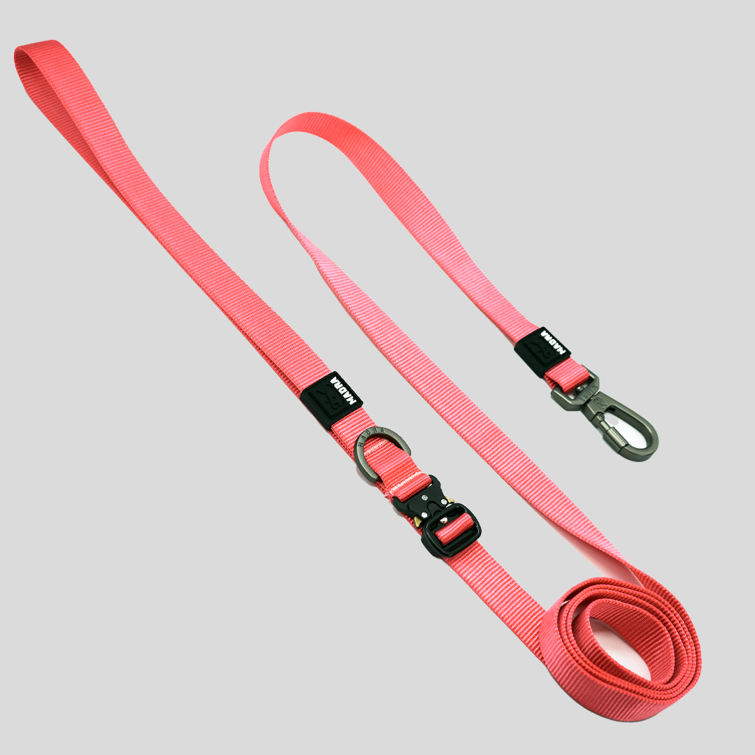 Tesla City Leash (Hands-Free)