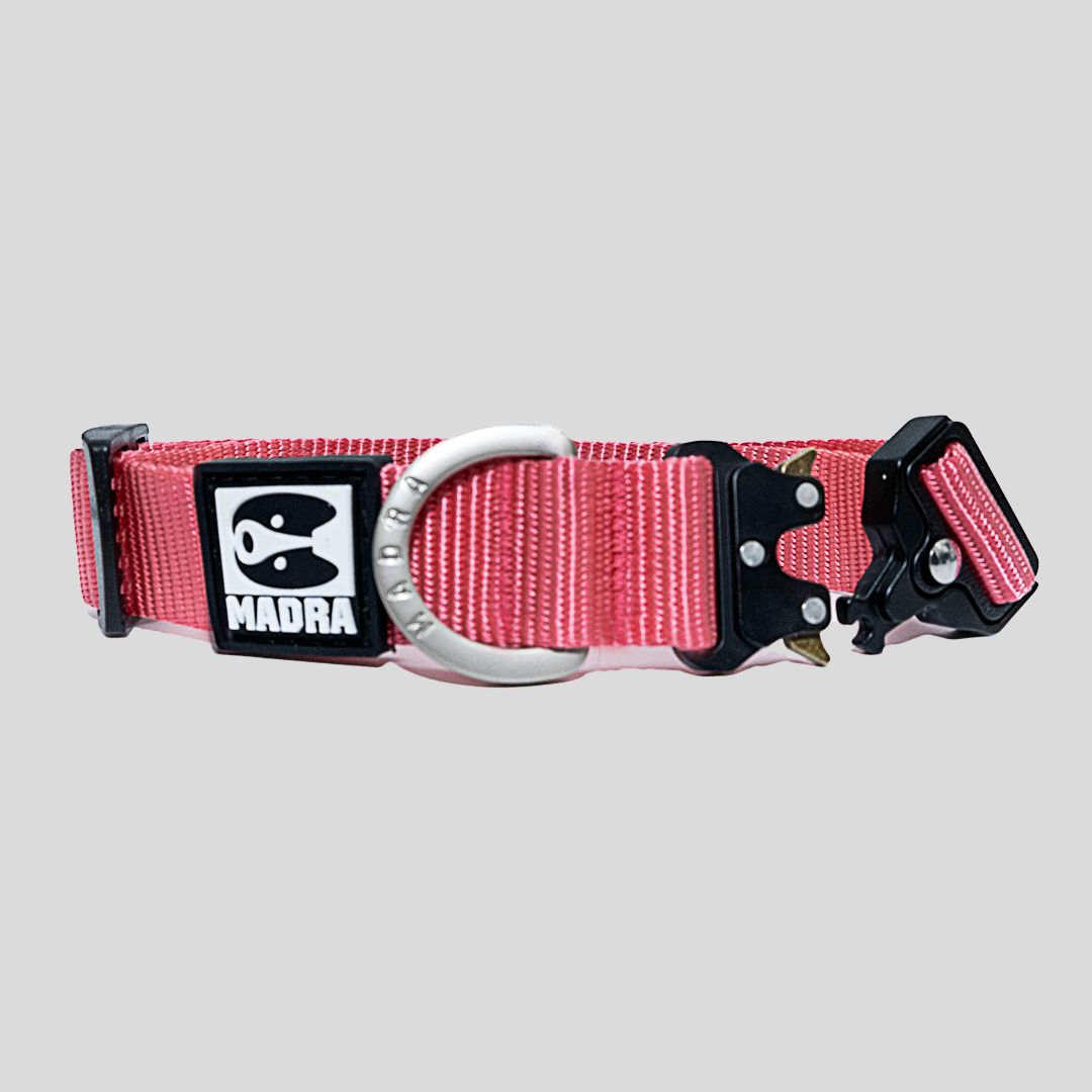 City collar