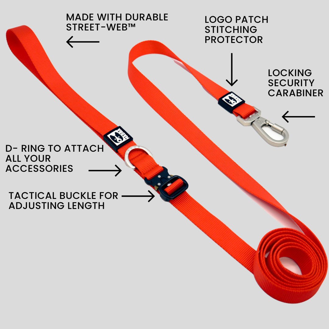City Leash (Hands-free)