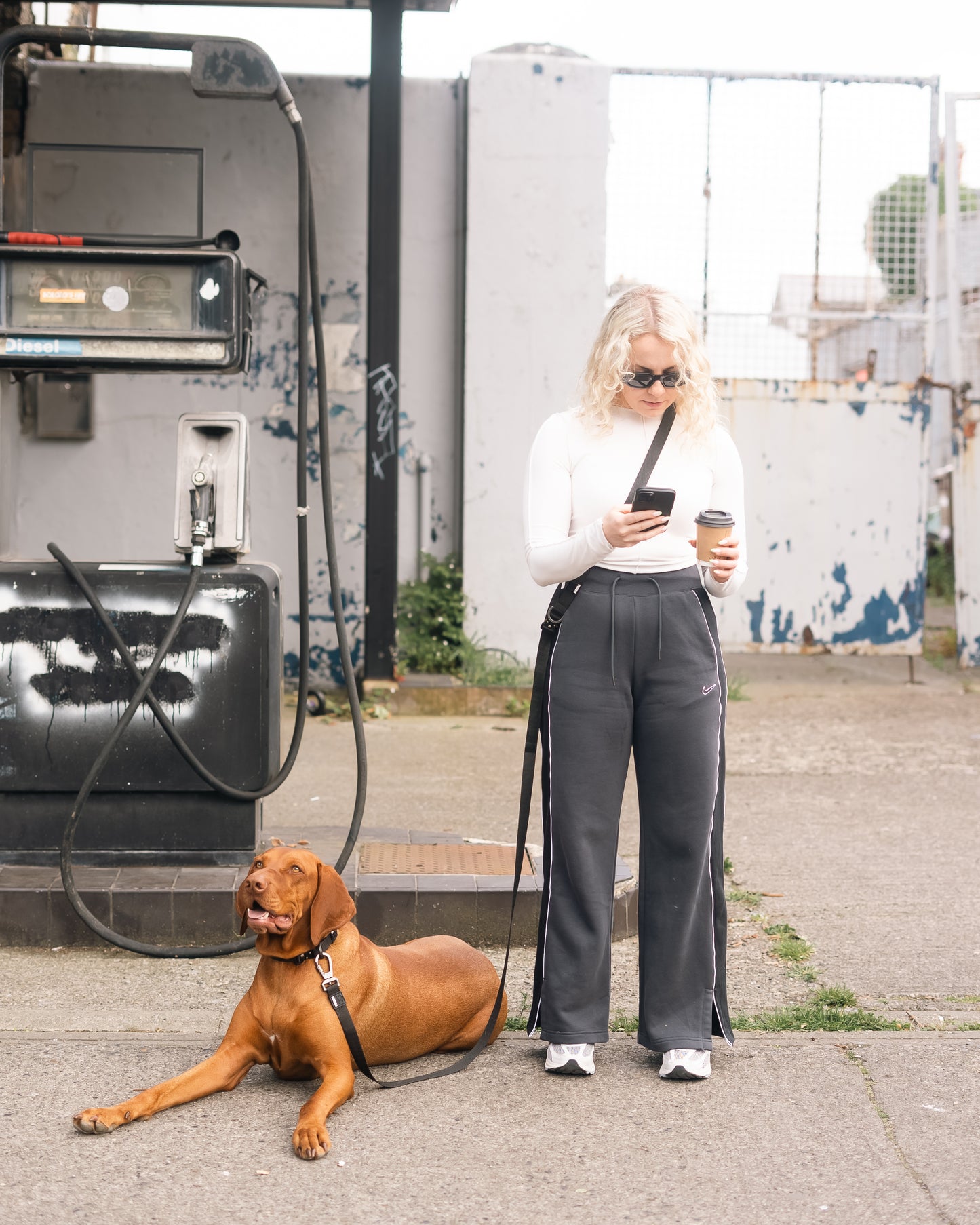 Tesla City Leash (Hands-Free)