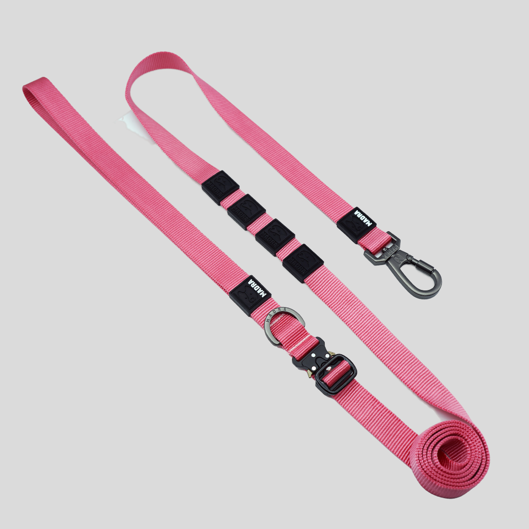 City Leash Traffic Grip
