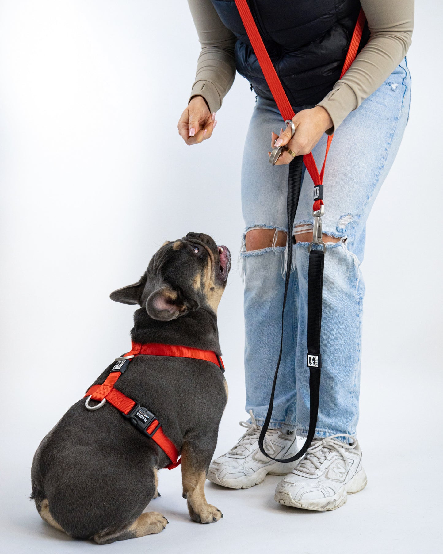 City leash (Hands-free)