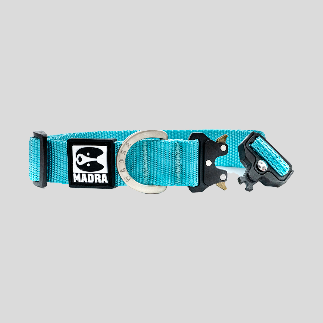 City collar