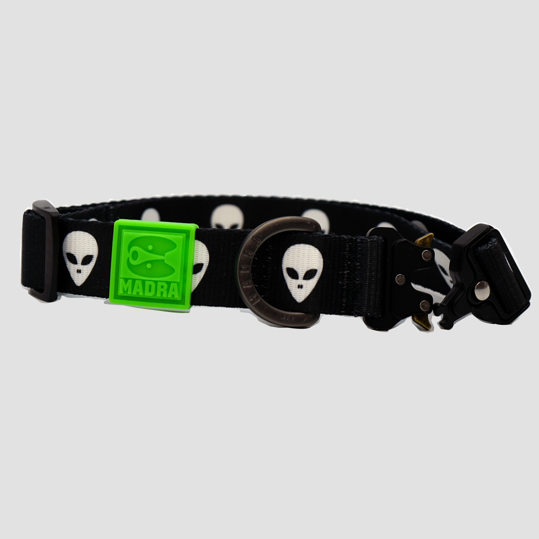 Alien dog collar hotsell