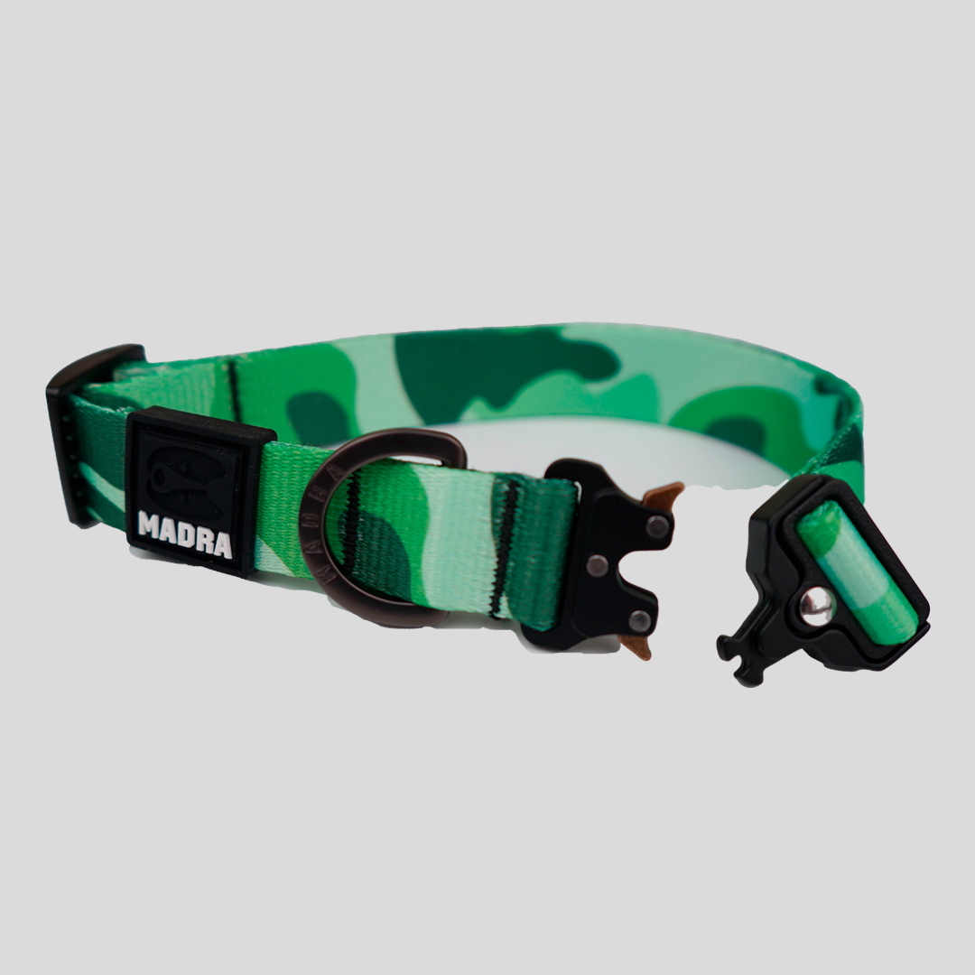 Camo City Collar