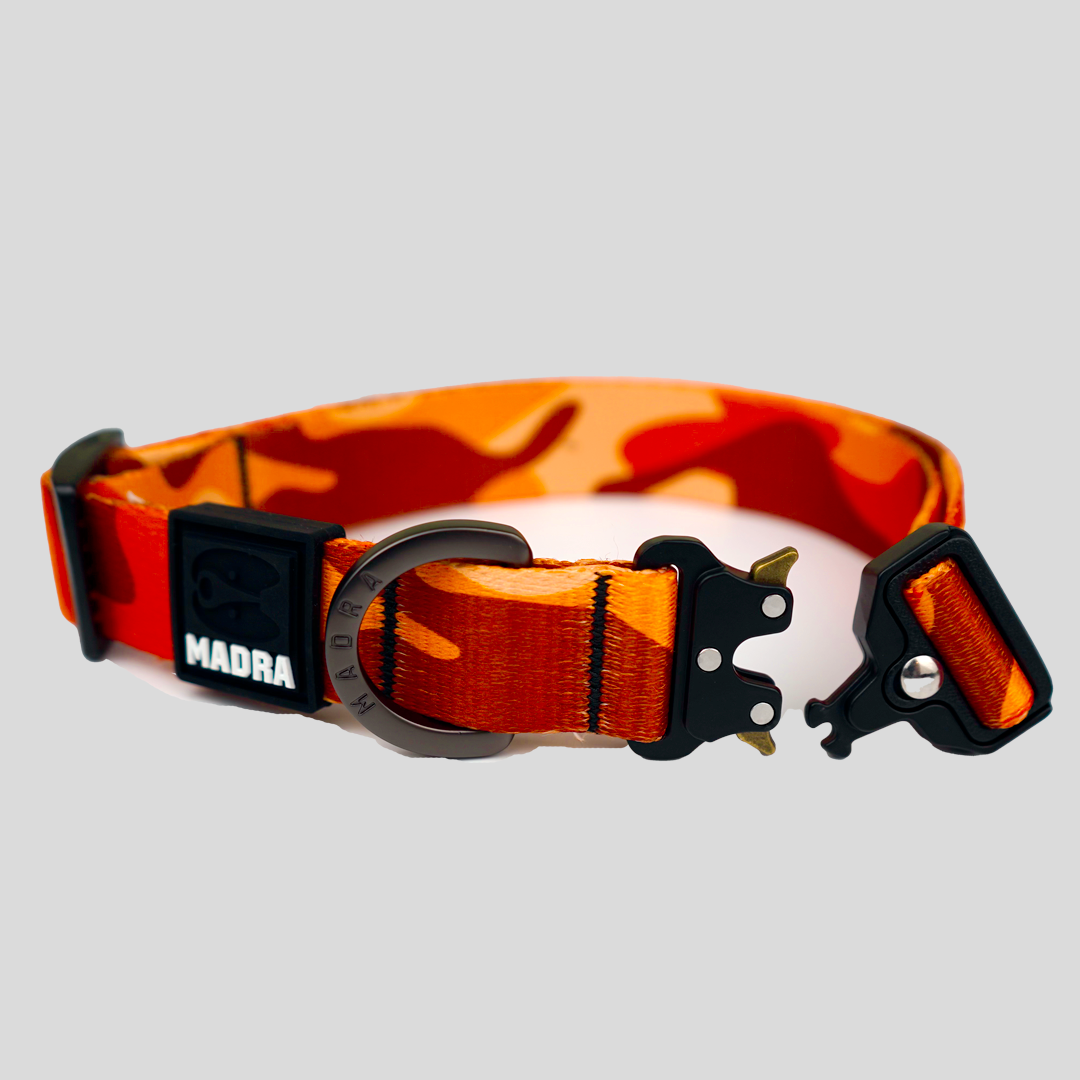 Camo City Collar