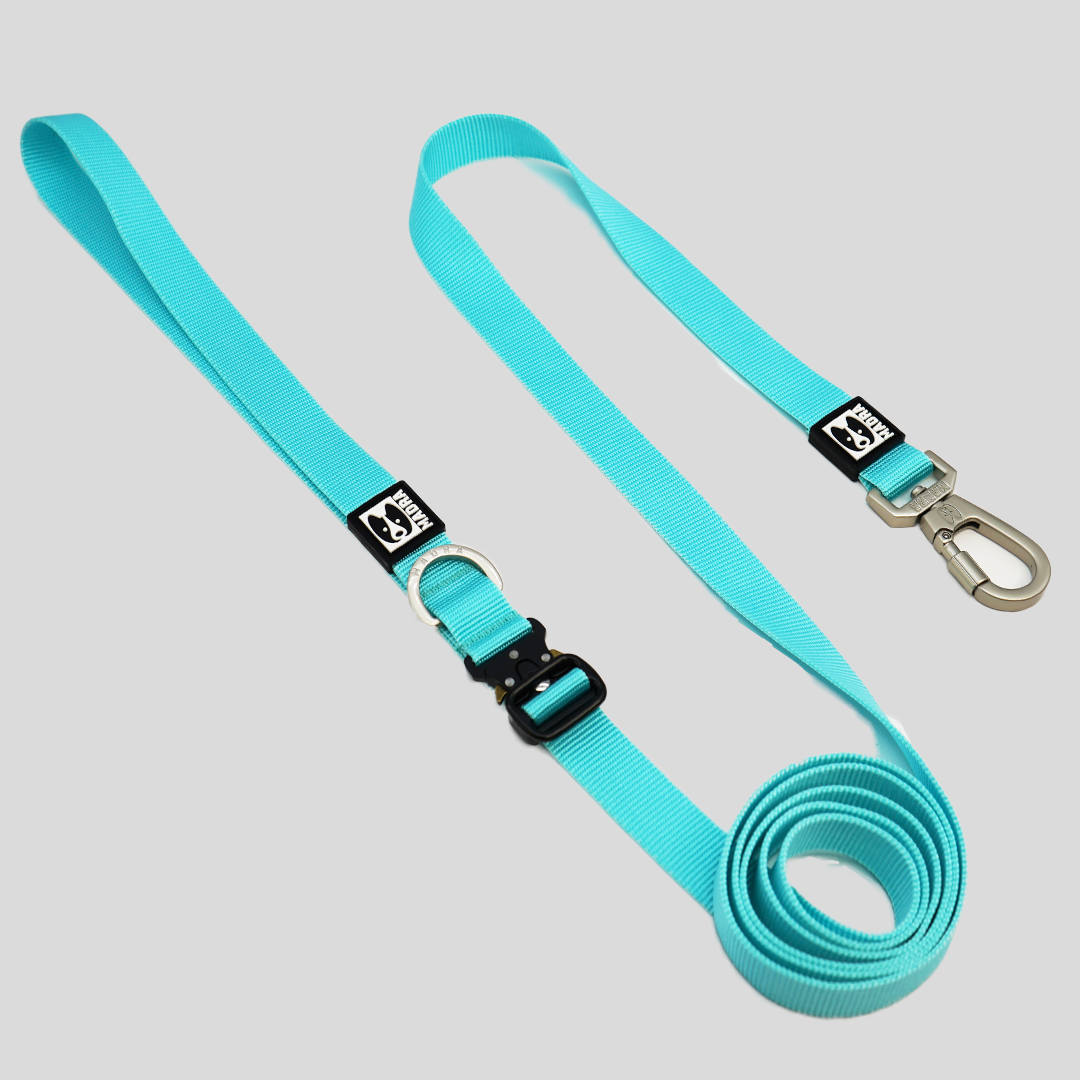 City leash (Hands-free)