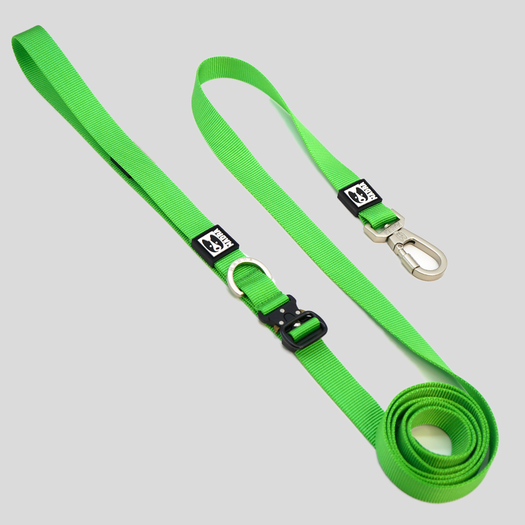 City leash (Hands-free)