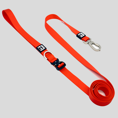 City leash (Hands-free)