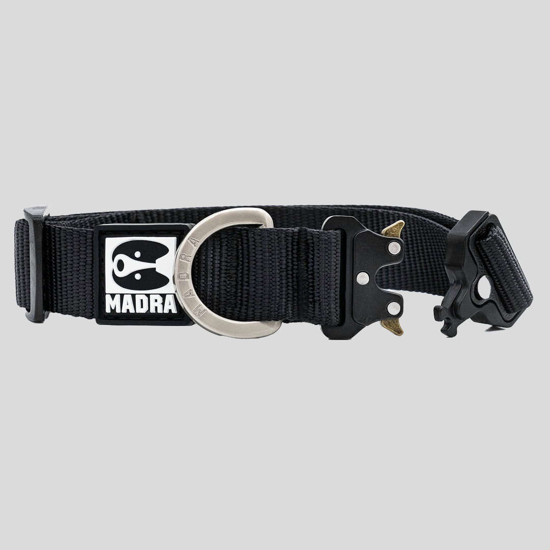 City collar