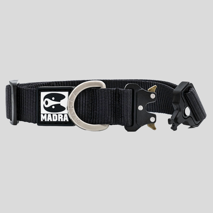 City collar