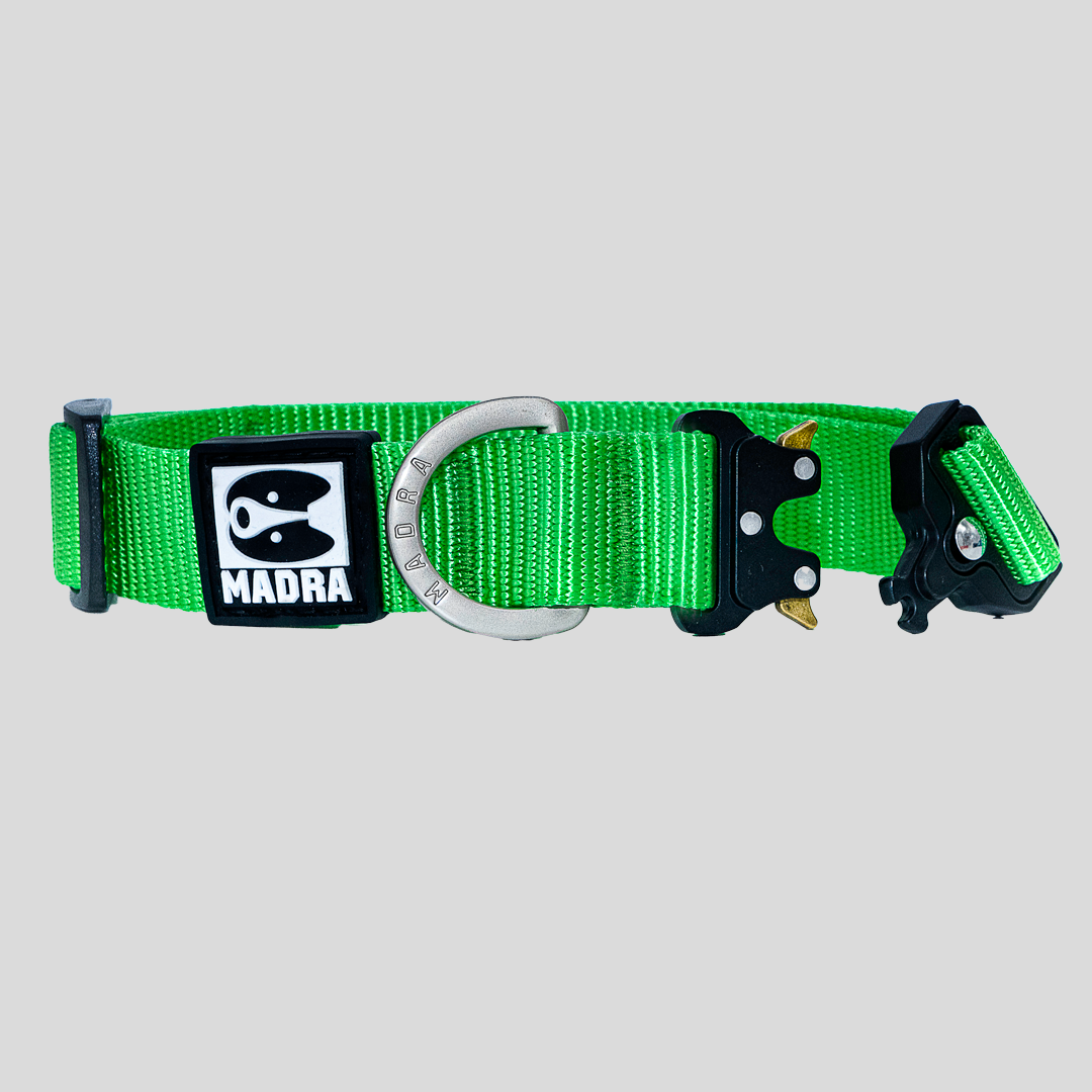City collar