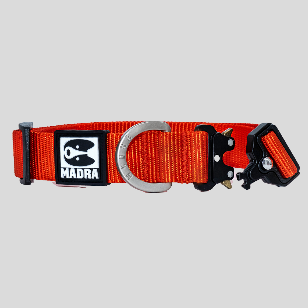 City Collar