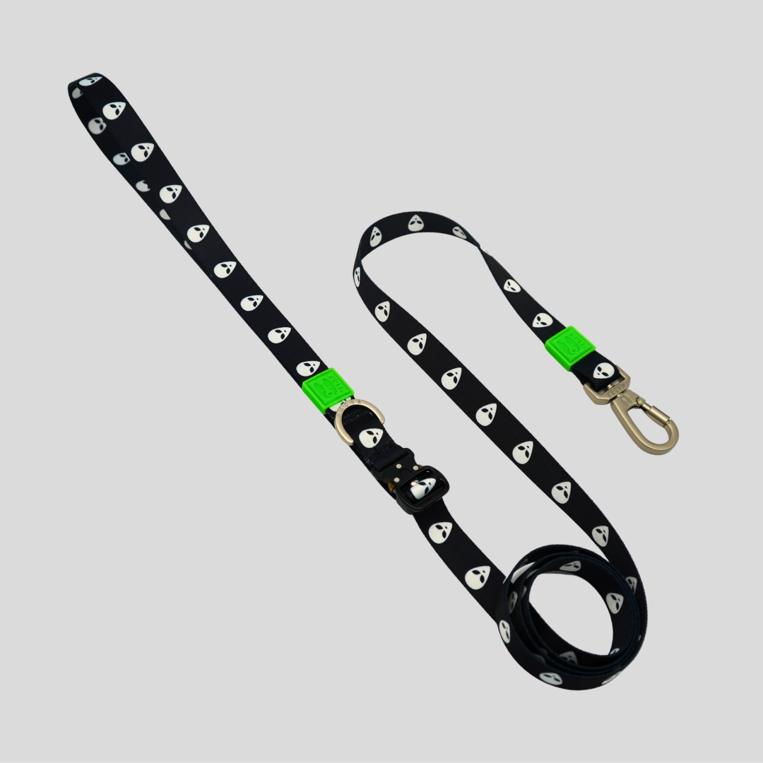 ALIEN HANDS-FREE LEASH