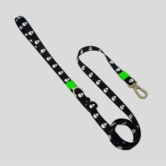ALIEN HANDS-FREE LEASH