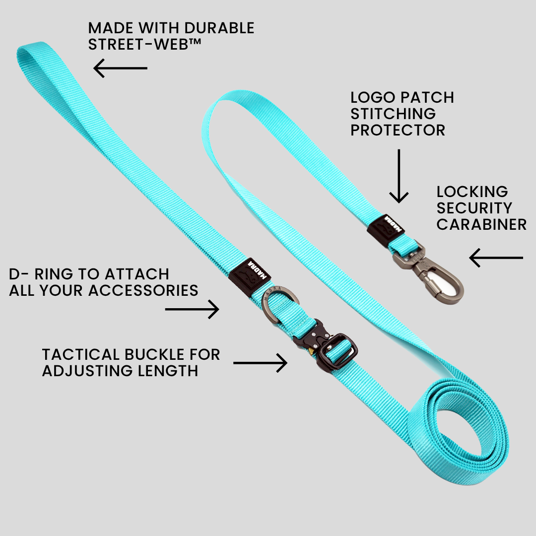 Madra x The Scratch - Handsfree Leash