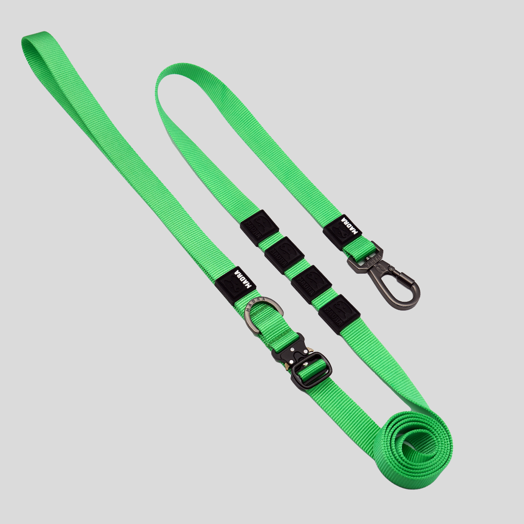 City Leash Traffic Grip
