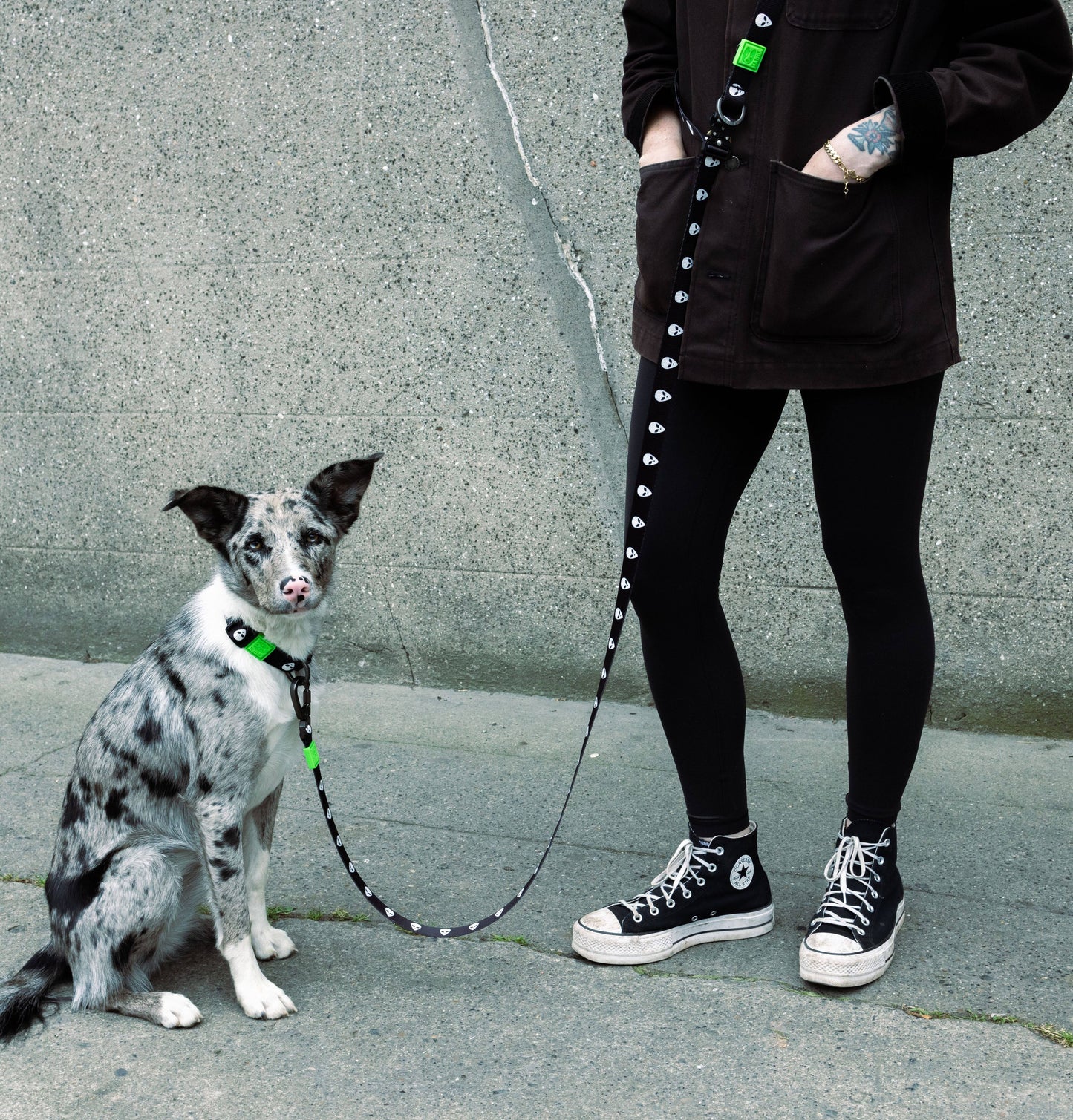 ALIEN HANDS-FREE LEASH