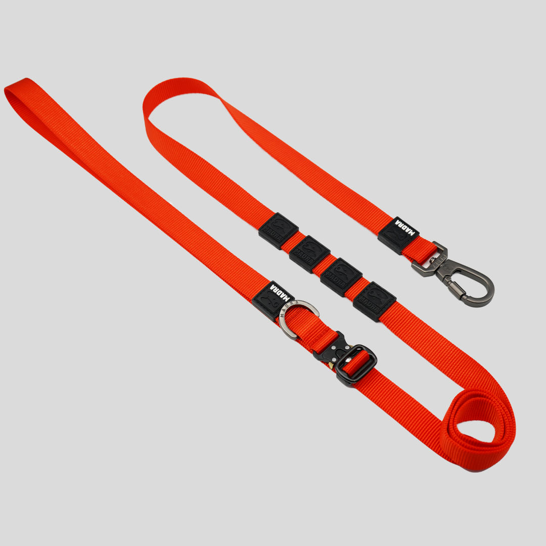 City Leash Traffic Grip