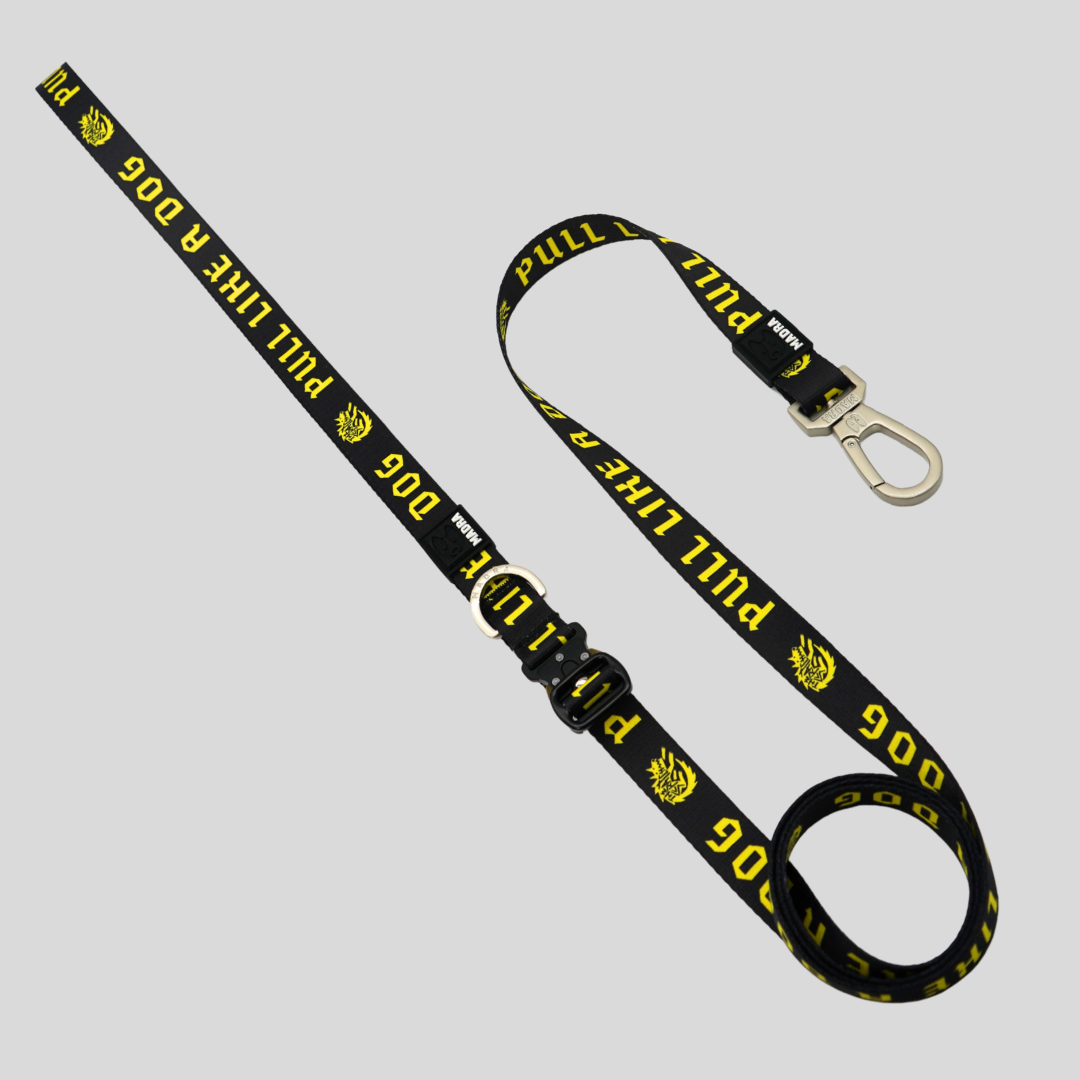 Madra x The Scratch - Handsfree Leash