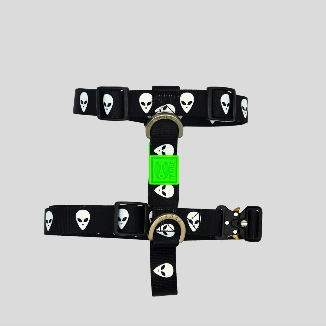 ALIEN HARNESS