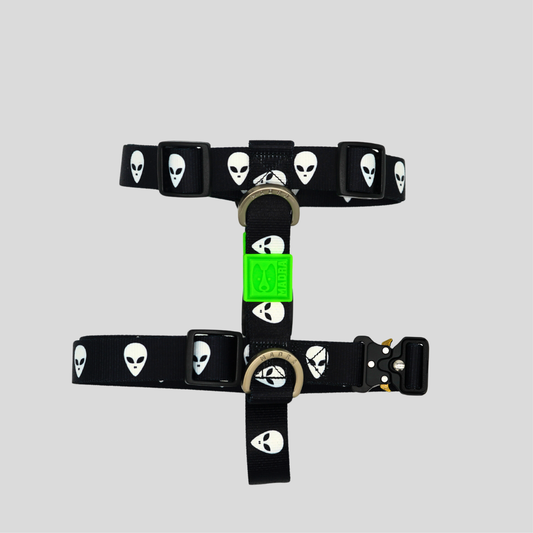 ALIEN HARNESS