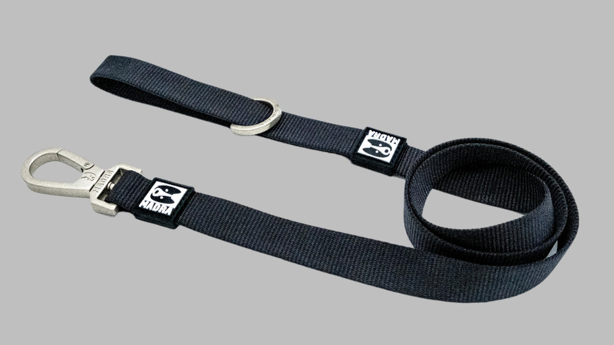 City Dual Leash (Walk Two Dogs)