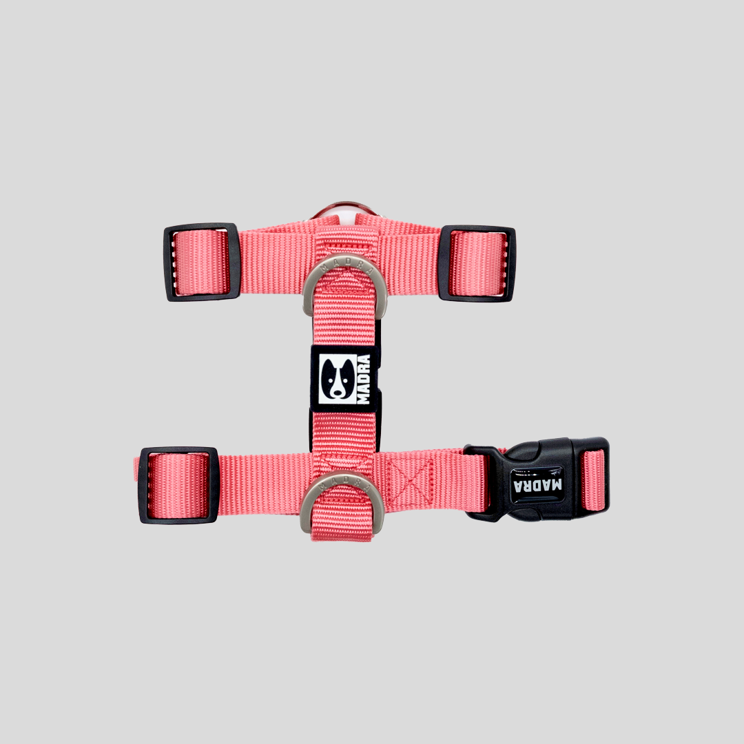 City Harness