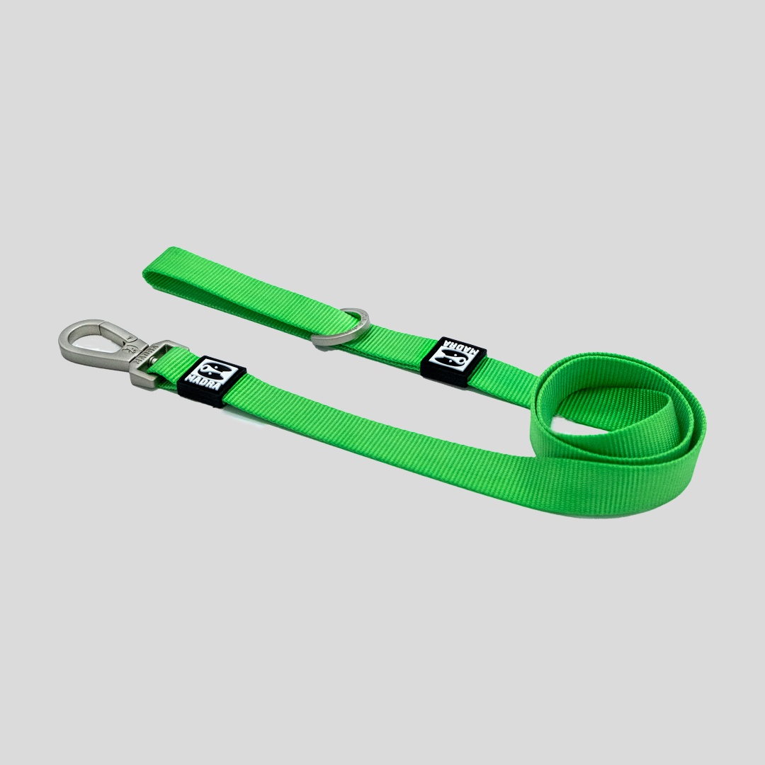 Classic Leash