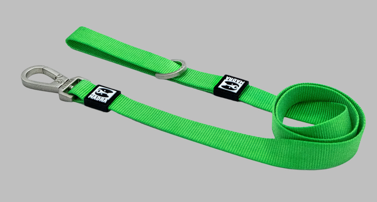 Classic Leash