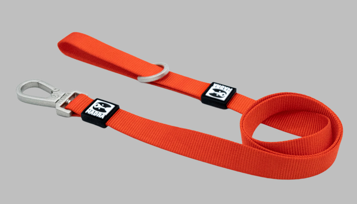 City Dual Leash (Walk Two Dogs)
