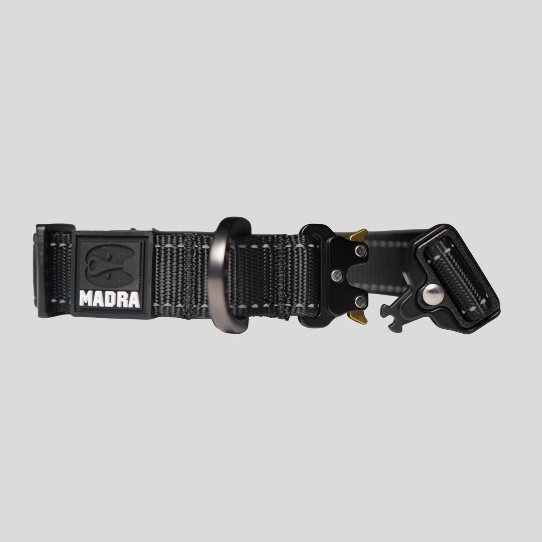 Reflective Collar