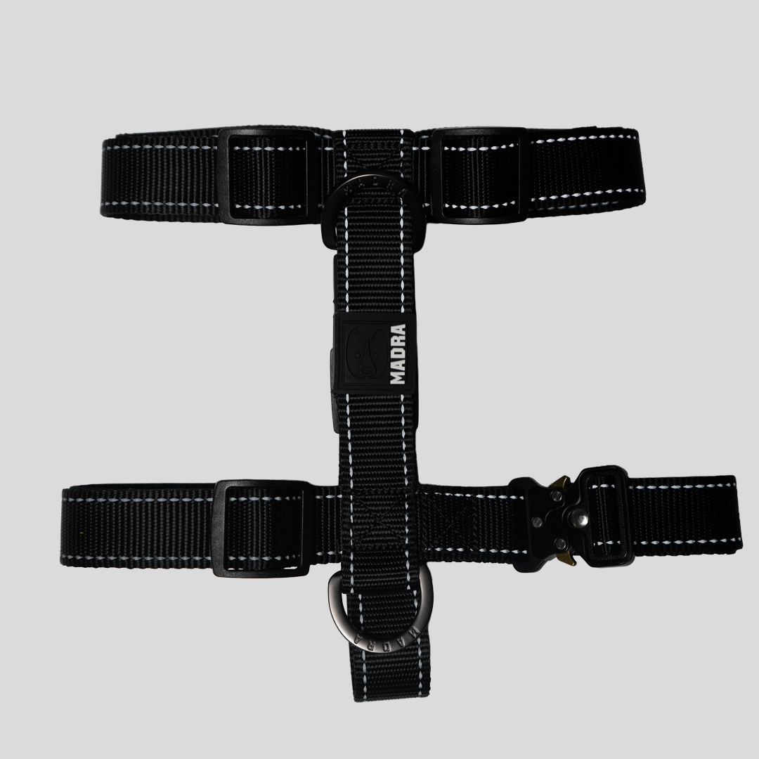 Reflective City Harness