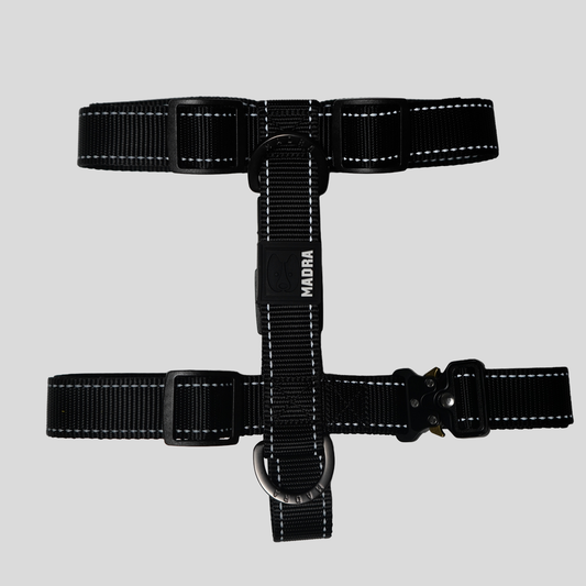 Reflective City Harness