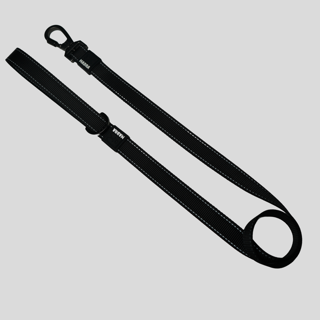City Dual Leash (Walk Two Dogs)